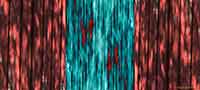 solpletter_lade_6187_edit2_foto